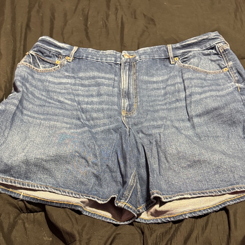 NWT American Eagle Outfitters Blue Jean Shorts